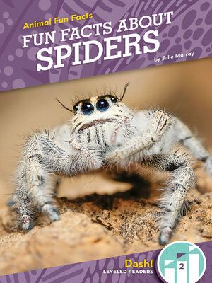 cover image of Fun Facts About Spiders